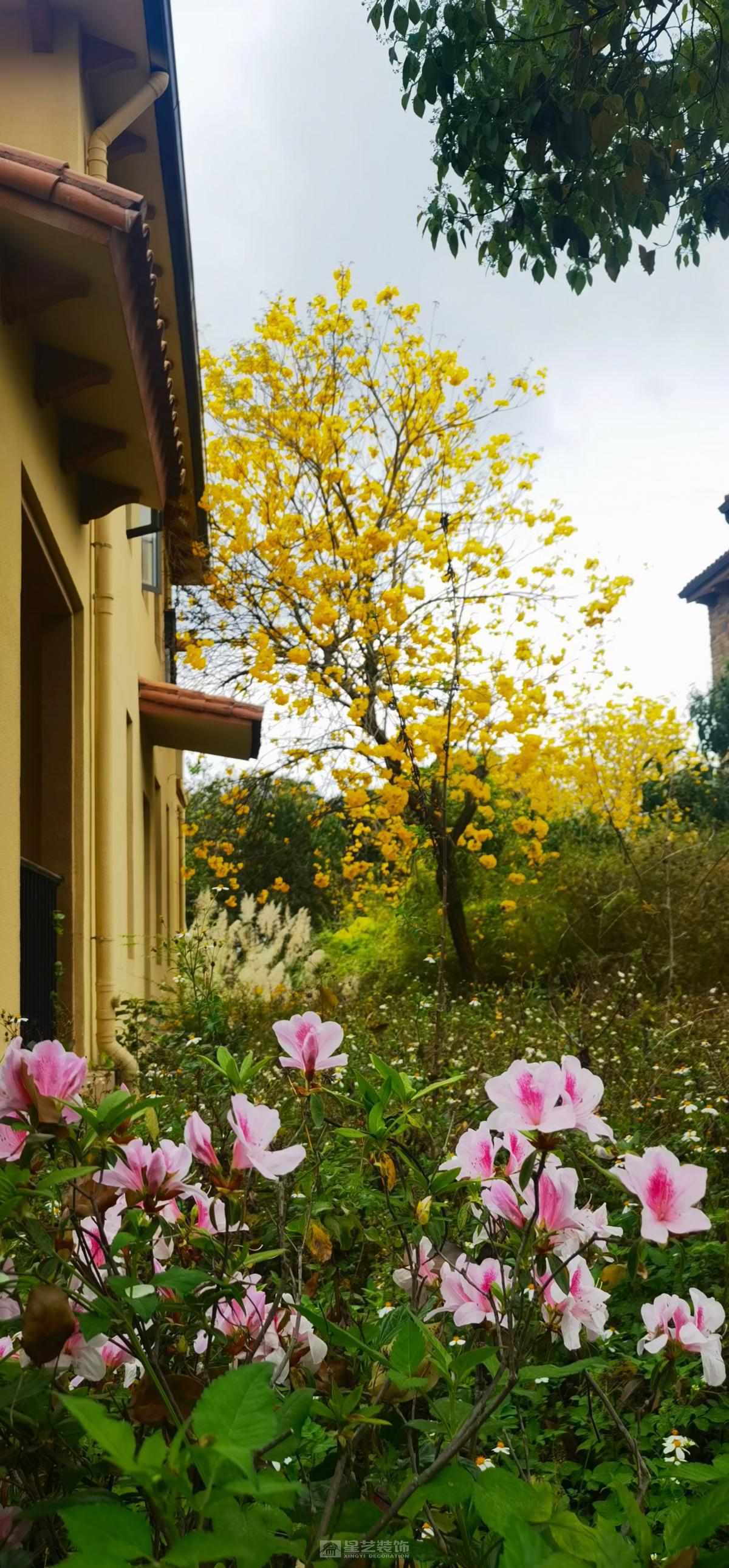 獨(dú)棟別墅 流溪御景500平方